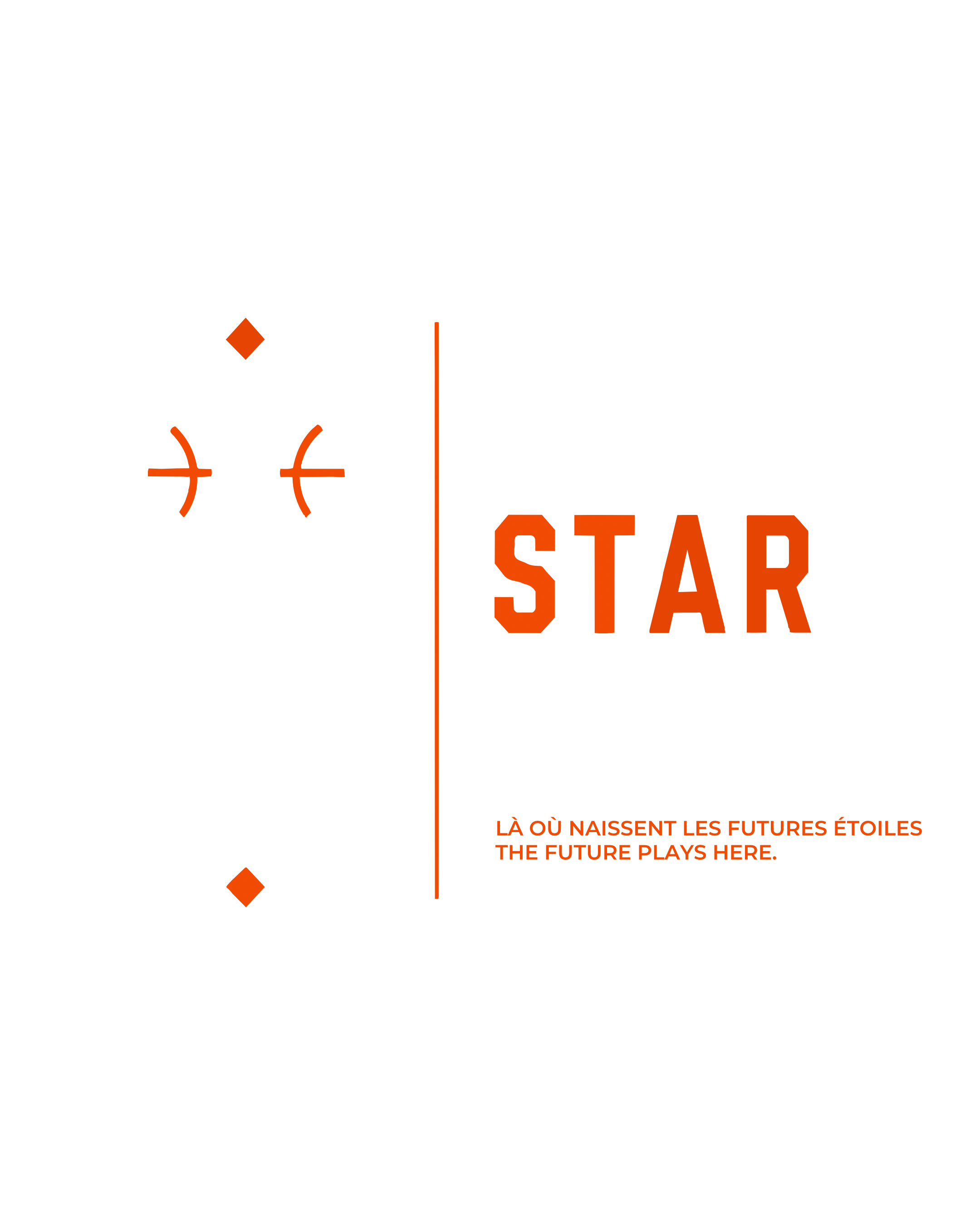 Next Star Game